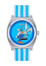 blink-182 Time Teller Nylon - Silver / Skankin Bunny